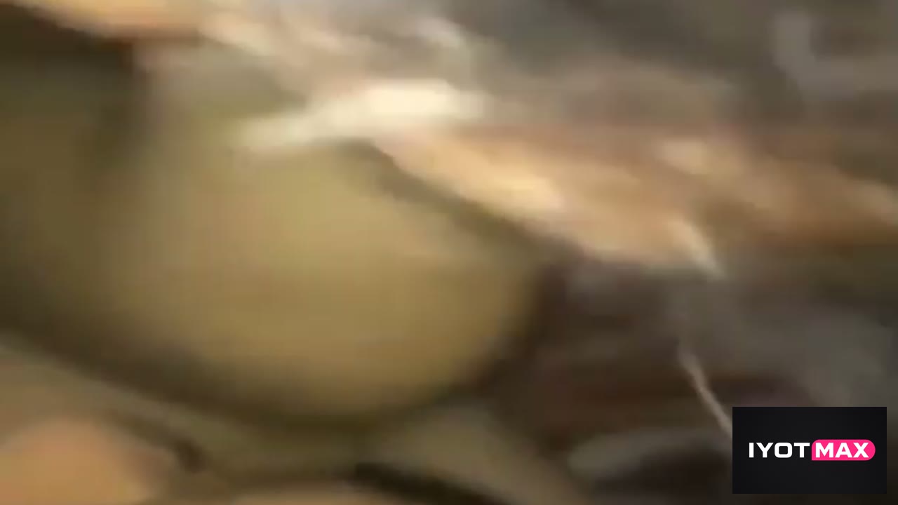 Sinalat ng patigas kiffay ni mahal