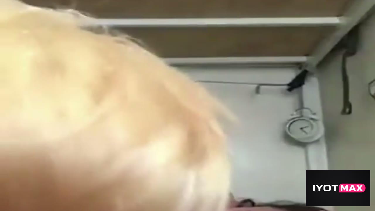 Sandro pinatikim ang batutang laging matigas