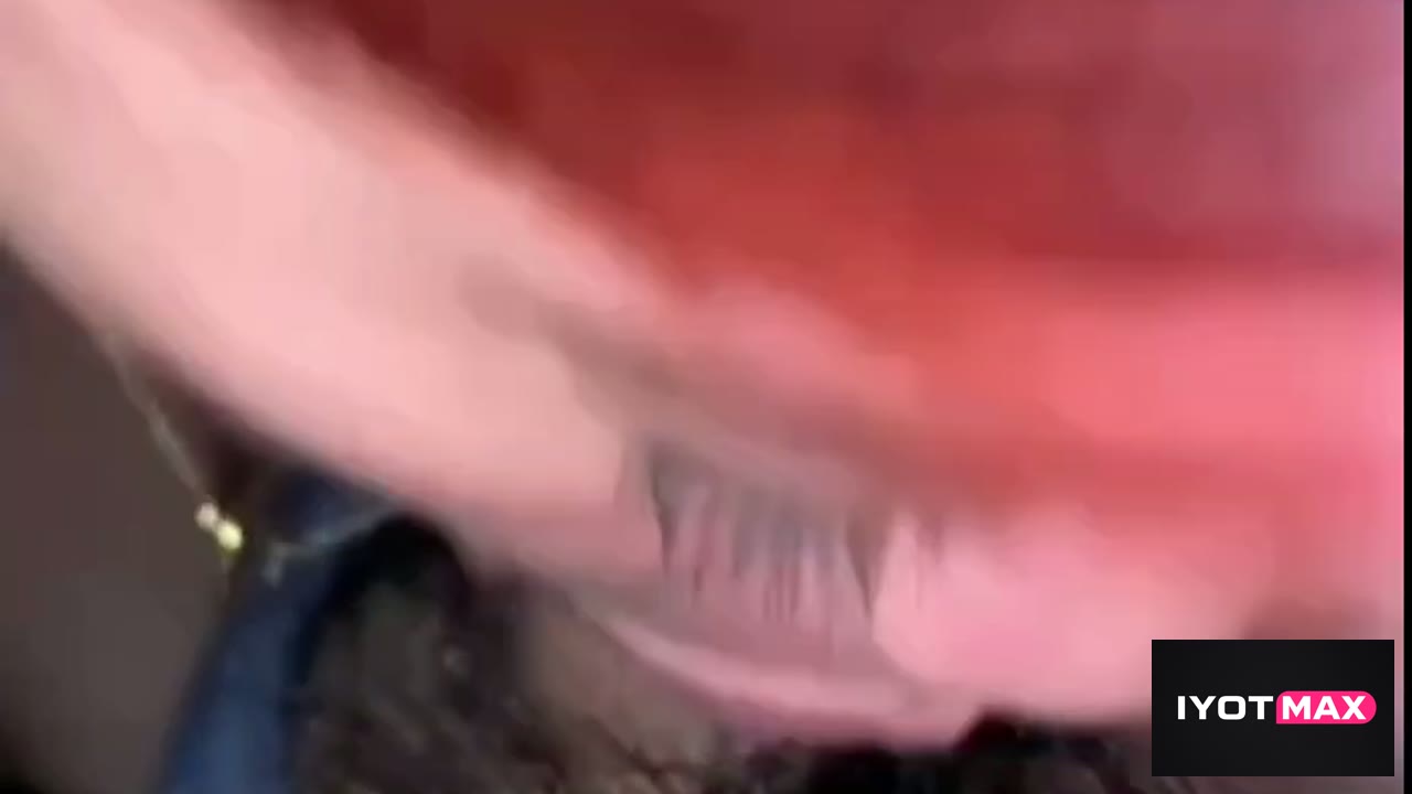 Dabawenya masarap