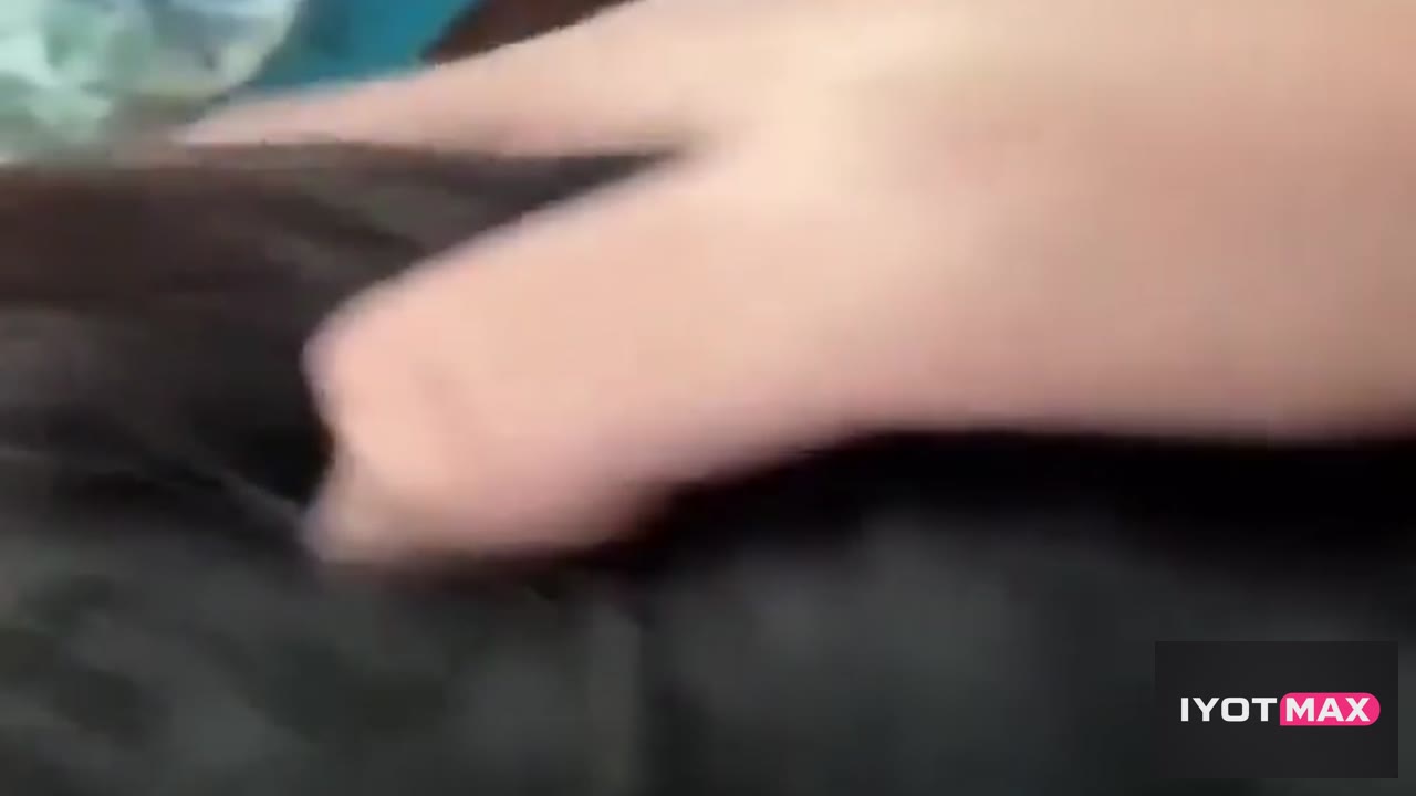 Gigil sa ulok si sheba